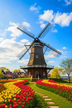 Top Things to Do in Holland Michigan for a Perfect Getaway